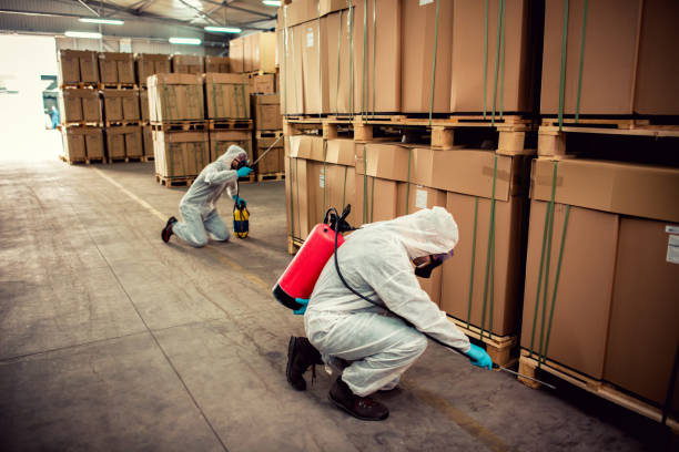 Best Local Pest Control Services  in Rutland, VT