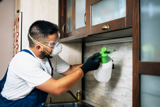 Best Mosquito Control Services  in Rutland, VT