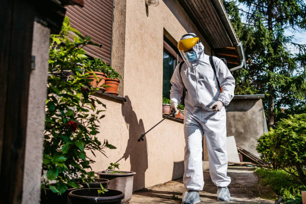 Best Best Pest Control Companies  in Rutland, VT