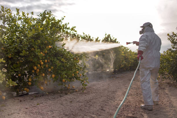 Best Exterminator Services  in Rutland, VT