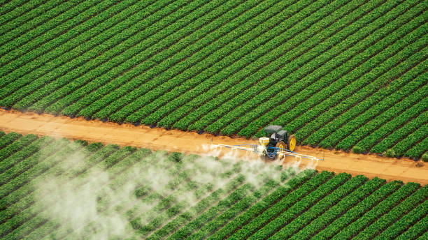 Best Pest Removal Services  in Rutland, VT