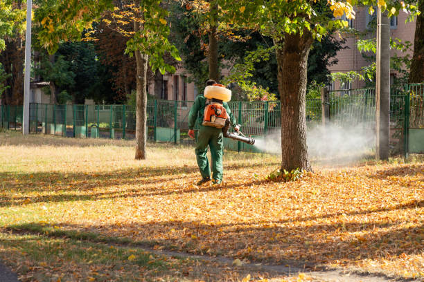 Insect Control in Rutland, VT