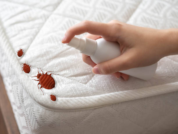  Rutland, VT Pest Control Pros