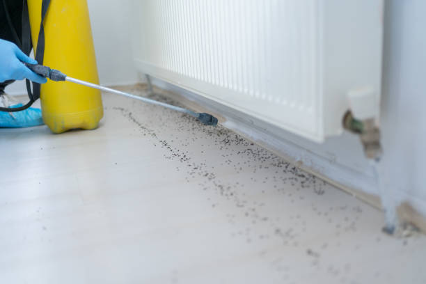 Best Pest Prevention Services  in Rutland, VT